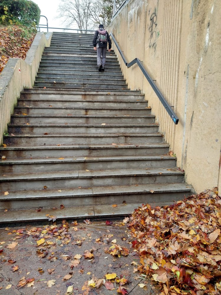 Úklid spadaného listí